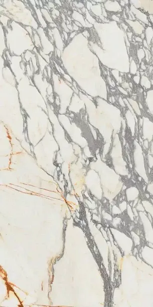 Керамогранит Epoque 21 Arabescato Ant R Lap 60X120 (PF60009341) для гостиной, для кухни, для ванной, для туалета, для прихожей, на теплый пол Фото Керамогранит Epoque 21 Arabescato Ant R Lap 60X120 (PF60009341) Италия