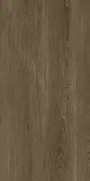 Фото Керамогранит Protiles PT12F7040 Albero Grey Matt 1200х600х9