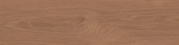 Фото Керамогранит Kerama Marazzi Аргания коричневый матовый 9,9x40,2x0,8 (KM1040G0031N) Россия