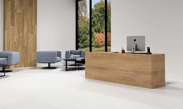 Фото Керамогранит Alaska Mate 60x60 Испания