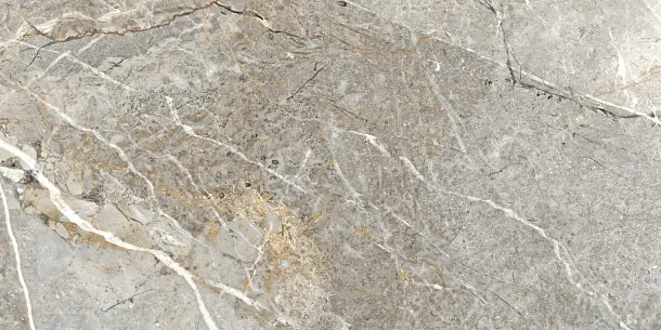 Фото Керамогранит Fantastico Grey Granito Полированный 60х120 Индия