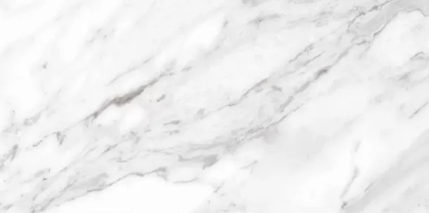Фото Керамогранит North Gloss White 49.1x98.2 Испания