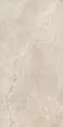 Керамогранит Dado Ceramica DNWS201 New Stone Daino 60x120