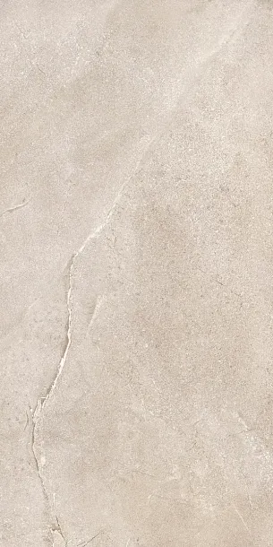 Фото Керамогранит Dado Ceramica DNWS201 New Stone Daino 60x120 Италия