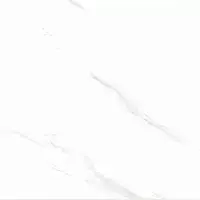 Фото Керамогранит Calacatta Genius Белый Полированный 60x60 (х9999304206)