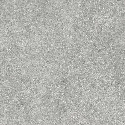 Фото Керамогранит Alpas Fossil Gris 20mm 60x60 Индия