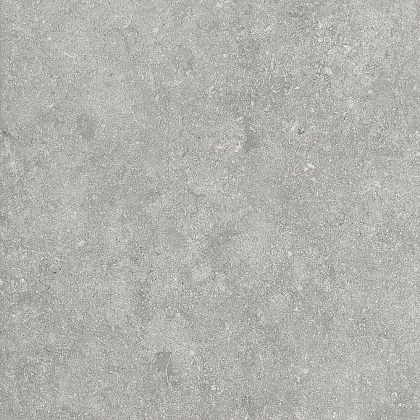 Фото Керамогранит Alpas Fossil Gris 20mm 60x60 Индия