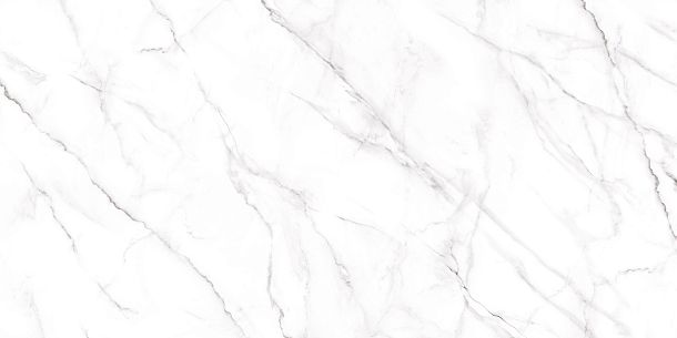 Фото Керамогранит Neo Calacatta матовый 600x1200x8,5 (GFU60120NCL07R) Россия