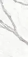 Керамогранит Protiles PT12F7002 Calacatta Matt 1200х600х9