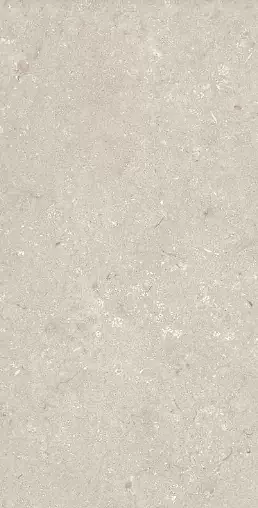 Фото Керамогранит Dado Ceramica 005486 Shellstone Beige 60x120 Италия