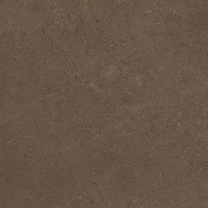 Фото Керамогранит GO03 Gobi Brown Grey неполированный 60x60 Россия
