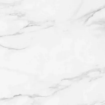 Фото Керамогранит Callacata Silver Rect матовая 60x60 Узбекистан