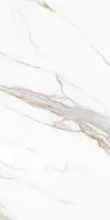 Фото Керамогранит Protiles Bianco PT12J7058 Carving 1200х600х9