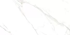 Керамогранит Carrara Livia Glossy 60x120 (M4401P) Фото Керамогранит Carrara Livia Glossy 60x120 (M4401P)