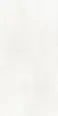 Керамогранит Saime Ceramiche 8600765 ICON WHITE SAT RET 60x120