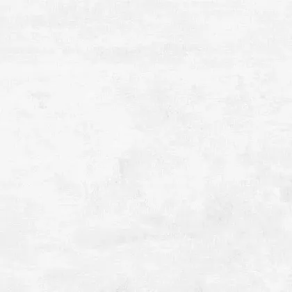 Фото Керамогранит K952736R0001LPET Flagman светло-серый 60x60 Россия