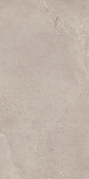 Фото Керамогранит Dado Ceramica DNWS203 New Stone Lepre 60x120 Италия