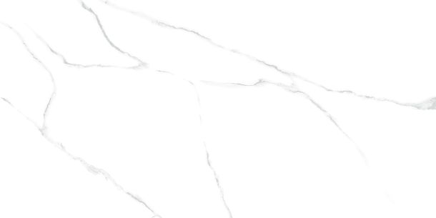 Фото Керамогранит Atlantic Marble полированный 600x1200 (60120AMR00P) Индия