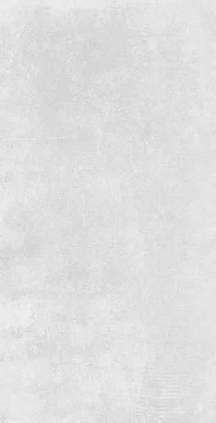 Фото Керамогранит Azulev Organic Grey RC 60x120 Испания