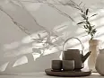 Керамогранит Argenta Nesta White RC 60x120
