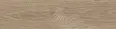 Керамогранит Kerama Marazzi Аргания бежевый тёмный матовый 9,9x40,2x0,8 (KM1040G0021N)