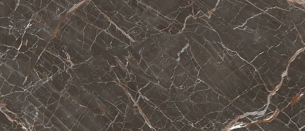 Фото керамогранит Stone Marble Brown SFV.IF.OC.LC Италия