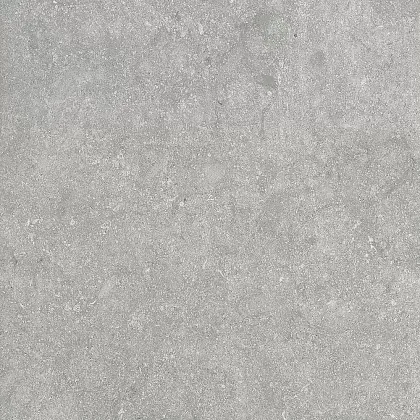 Фото Керамогранит Alpas Fossil Gris 20mm 60x60 Индия