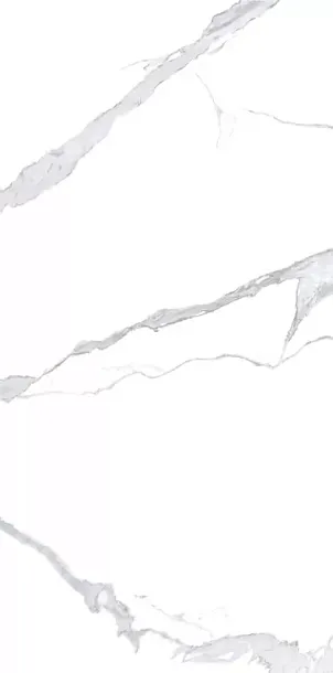 Фото Керамогранит Bianco Statuario 120x240 (NTT3008P) Китай