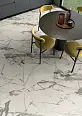 Керамогранит Imola Ceramica INF BR6 60 LP The Room 60x60