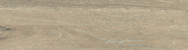 Фото Керамогранит DW02 Dream Wood Latte Неполированный 14,6x60x8 Россия