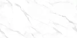 Керамогранит Statuario Endless 60x120 (NTT99506P) Индия Фото Керамогранит Statuario Endless 60x120 (NTT99506P)