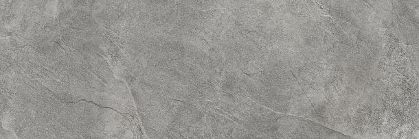 Плитка Leon Gray 246x740 (WT15LEN15R) для ванной, для туалета Фото Плитка Leon Gray 246x740 (WT15LEN15R) Россия