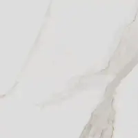 Фото Керамогранит Cr.Apulia Gold Compacglass 60X60 (017.840.0189.05642)