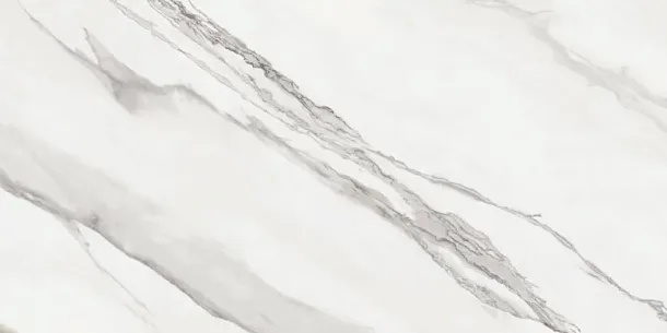 Фото Керамогранит Argenta Nesta White RC 60x120 Испания