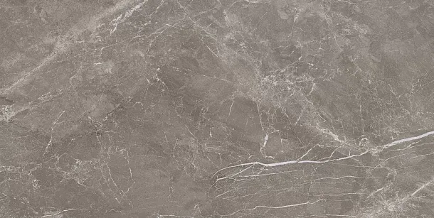 Фото Керамогранит Prissmacer Fior Di Bosca Noce Matt 60x120 Испания