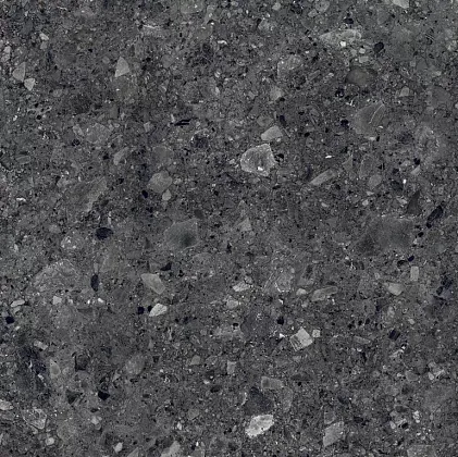Фото Керамогранит Alpas Terrazo Nero 20mm 60x60 Индия