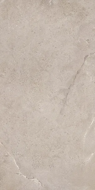 Фото Керамогранит Dado Ceramica DNWS203 New Stone Lepre 60x120 Италия
