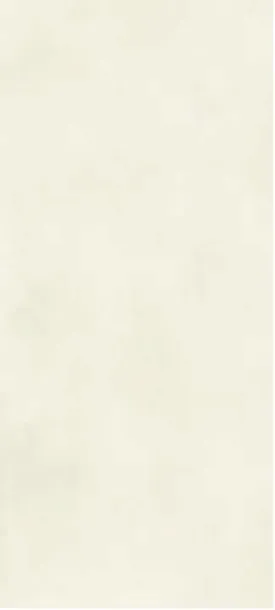Фото Керамогранит Janye Slab JA3009M Putty White Text 120x270 Китай
