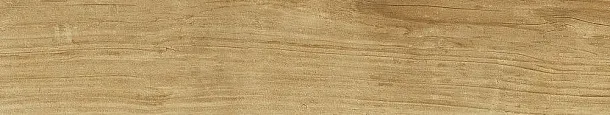 Фото Керамогранит Dune 189005 Quercus Miele 22x120 Испания