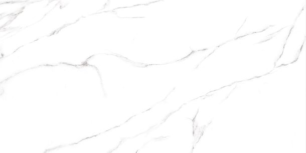 Фото Керамогранит Carrara матовый 600x1200x8,5 (GFU60120CRR00R) Россия