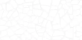 Плитка WT9SML00 Smalta White 249x500 Фото Плитка WT9SML00 Smalta White 249x500