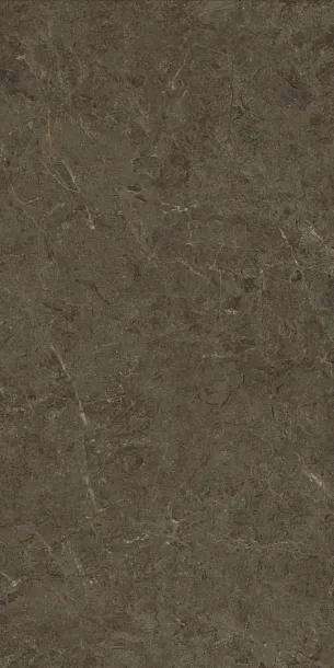 Фото Керамогранит Protiles PT12F7039 Neapol Brown Matt 1200х600х9 Узбекистан