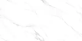 Фото Керамогранит Cortina Ice Bianco Carving 60x120