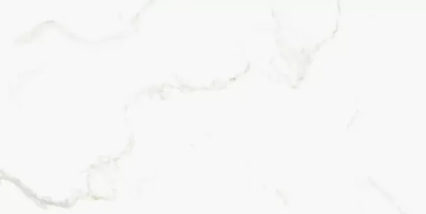 Керамогранит Omega Exotica Glossy 60x120 (M4408P) для гостиной, для кухни, для ванной, для туалета, для спальни, для прихожей, на теплый пол Фото Керамогранит Omega Exotica Glossy 60x120 (M4408P) Китай