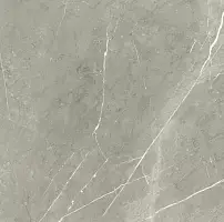 Фото Керамогранит Bright And Shiny 60x60 (BB6NTT9102P)