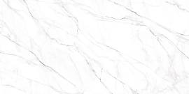 Керамогранит Neo Calacatta матовый 600x1200x8,5 (GFU60120NCL07R) Фото Керамогранит Neo Calacatta матовый 600x1200x8,5 (GFU60120NCL07R)