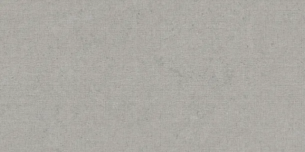Фото Декор Tau Ceramica DC. Calcare Silver 60x120 Испания