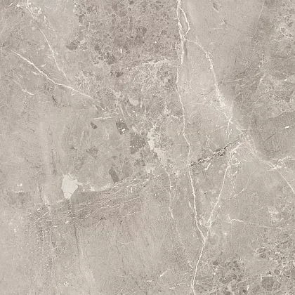 Фото Керамогранит Obsidian Grey Матовый 60x60 Индия