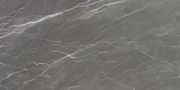 Фото Керамогранит Ennface ENSTN4007HG60120 Grigio Fresco High Glossy 600х1200х9 Индия