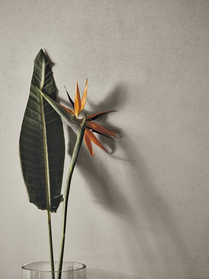 Фото Керамогранит OT06 Feel Sage Matt R R10 60x120 Италия